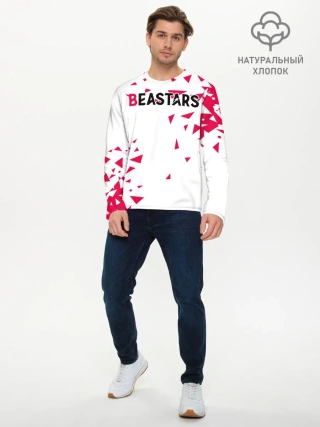 Мужской лонгслив базовый / Beastars треугольники