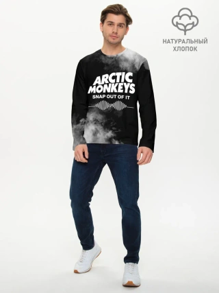 Мужской лонгслив базовый / Arctic Monkeys