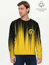 Мужской лонгслив базовый / Borussia