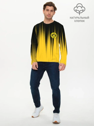 Мужской лонгслив базовый / Borussia