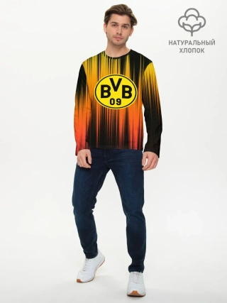 Мужской лонгслив базовый / Borussia