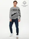 Мужской лонгслив базовый / AUDI / АУДИ