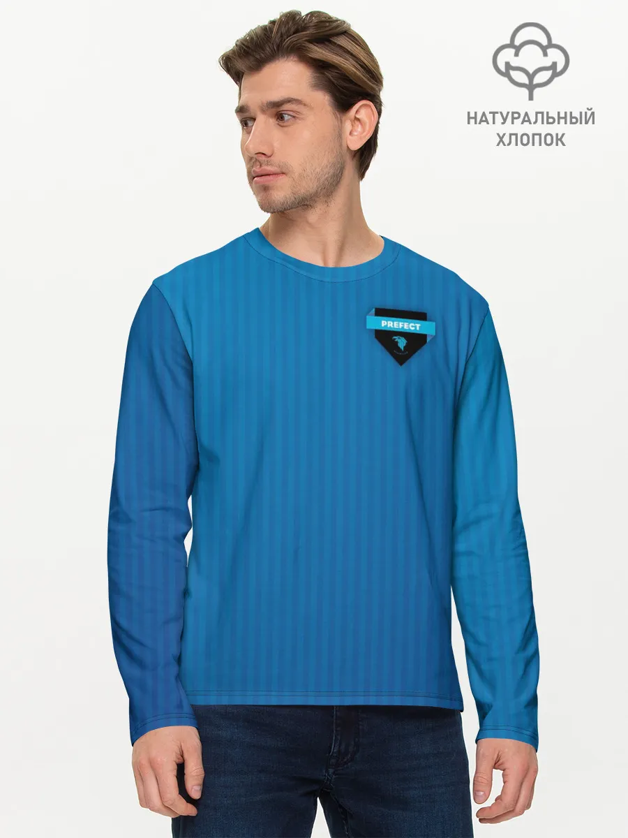 Мужской лонгслив базовый / Ravenclaw