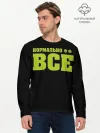 Мужской лонгслив базовый / Надпись нормально все