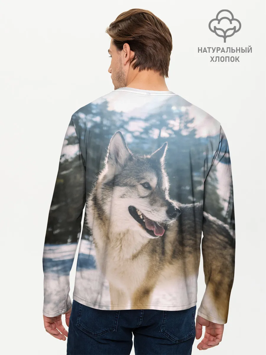 Мужской лонгслив базовый / Волк и снег