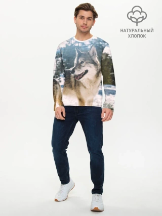 Мужской лонгслив базовый / Волк и снег