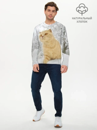 Мужской лонгслив базовый / Кот и снег