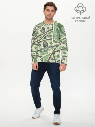 Мужской лонгслив базовый / Доллар