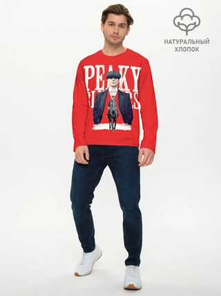 Мужской лонгслив базовый / Острые козырьки