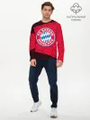 Мужской лонгслив базовый / FC BAYERN / БАВАРИЯ