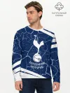 Мужской лонгслив базовый / TOTTENHAM HOTSPUR / Тоттенхэм