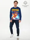 Мужской лонгслив базовый / Crash Bandicoot