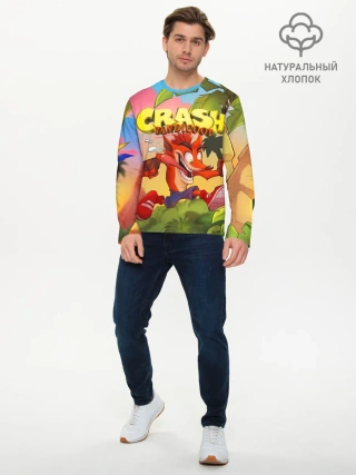 Мужской лонгслив базовый / Crash Bandicoot