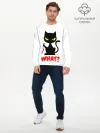 Мужской лонгслив базовый / What Cat