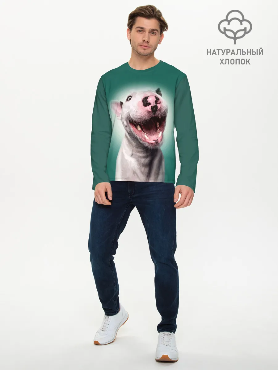 Мужской лонгслив базовый / Bully