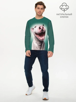 Мужской лонгслив базовый / Bully