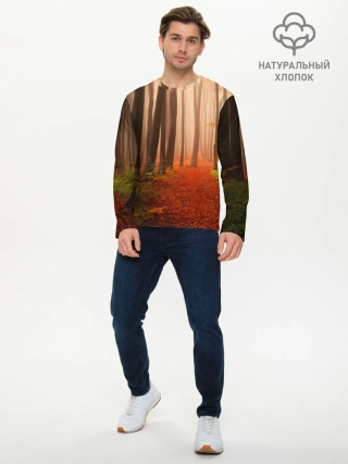 Мужской лонгслив базовый / Осенний лес