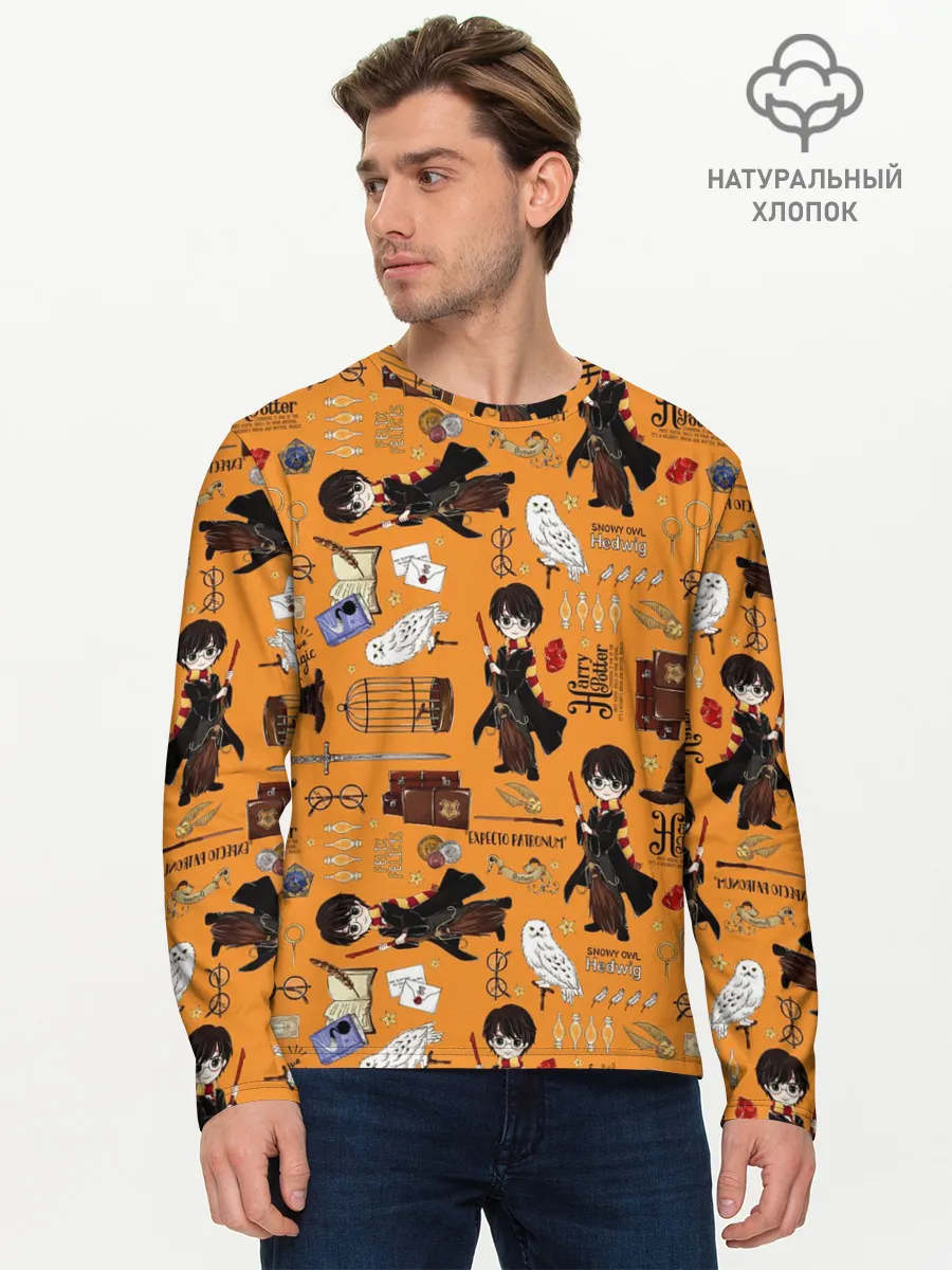 Мужской лонгслив базовый / Гарри Поттер