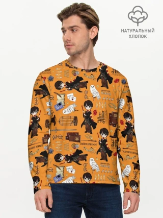 Мужской лонгслив базовый / Гарри Поттер