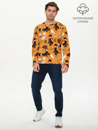 Мужской лонгслив базовый / Гарри Поттер