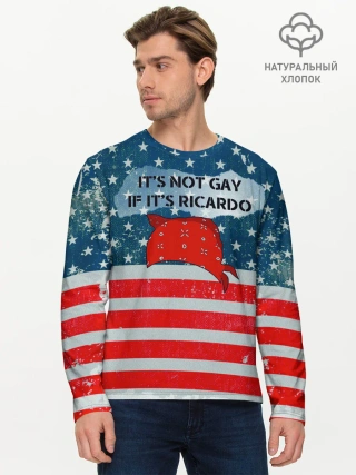 Мужской лонгслив базовый / Its Ricardo
