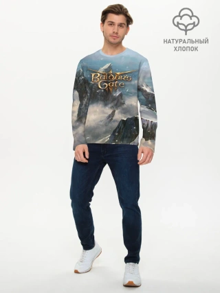 Мужской лонгслив базовый / Baldurs Gate