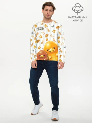 Мужской лонгслив базовый / Fantastic Beasts Baby Nifflers