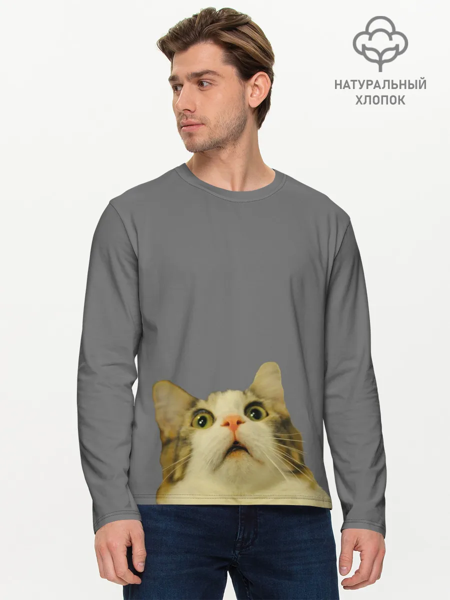 Мужской лонгслив базовый / Коте смотрит вверх