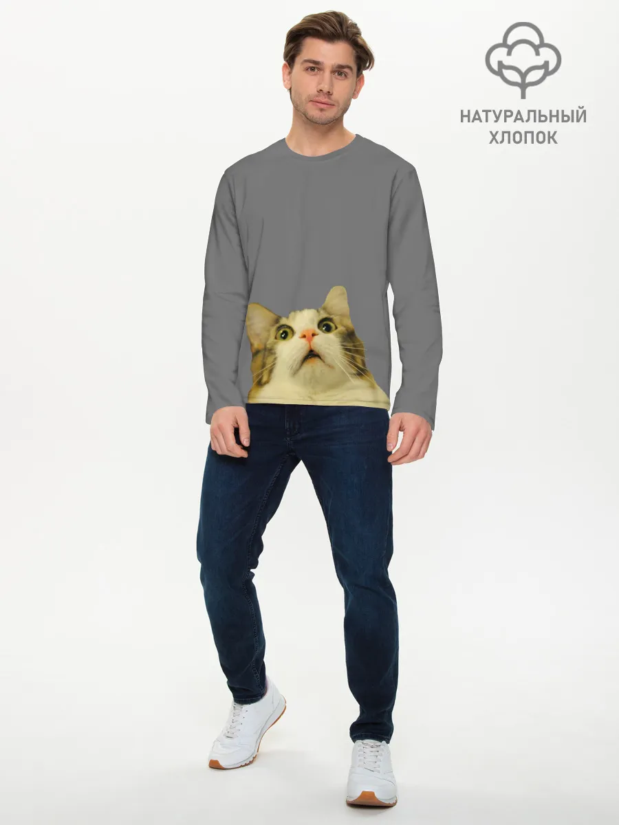 Мужской лонгслив базовый / Коте смотрит вверх
