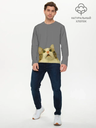 Мужской лонгслив базовый / Коте смотрит вверх