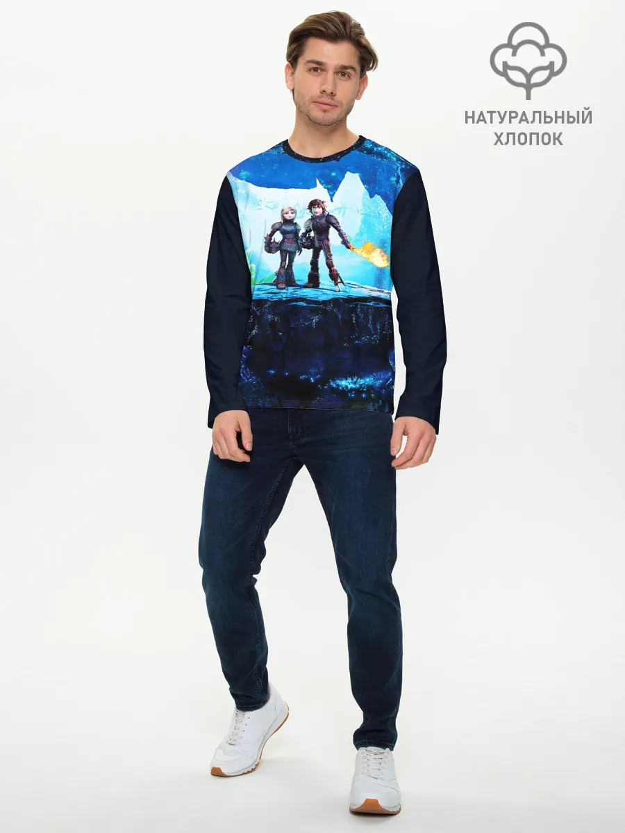 Мужской лонгслив базовый / Как приручить Дракона 3