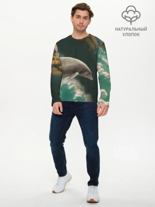 Мужской лонгслив базовый / Дельфин в облаках