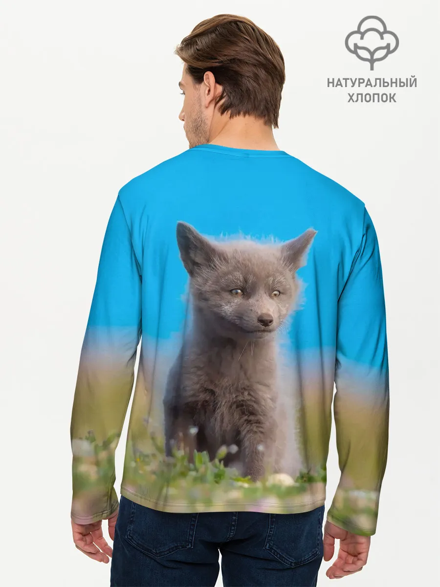Мужской лонгслив базовый / Смешной лисенок