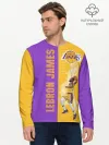 Мужской лонгслив базовый / Леброн NBA