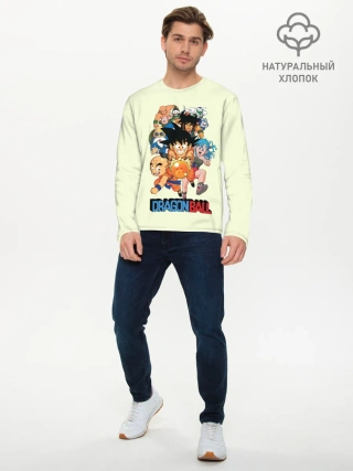 Мужской лонгслив базовый / Команда Драконьего яйца