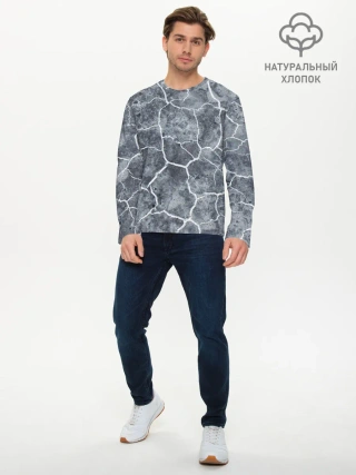 Мужской лонгслив базовый / Chaos Stability