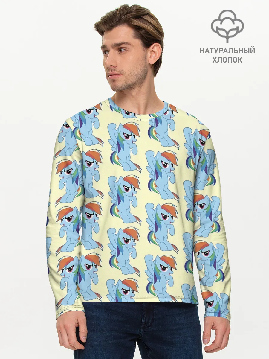 Мужской лонгслив базовый / Rainbow Dash