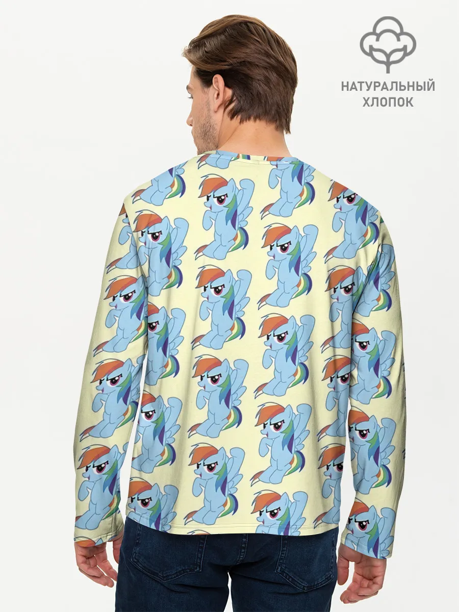 Мужской лонгслив базовый / Rainbow Dash