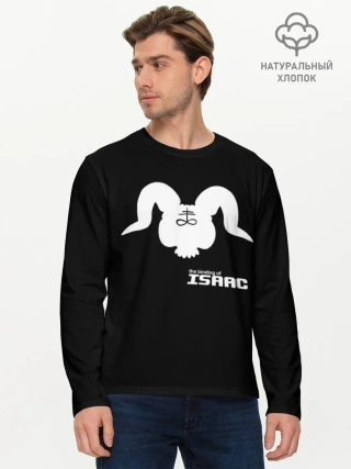 Мужской лонгслив базовый / The Binding of isaac Satan