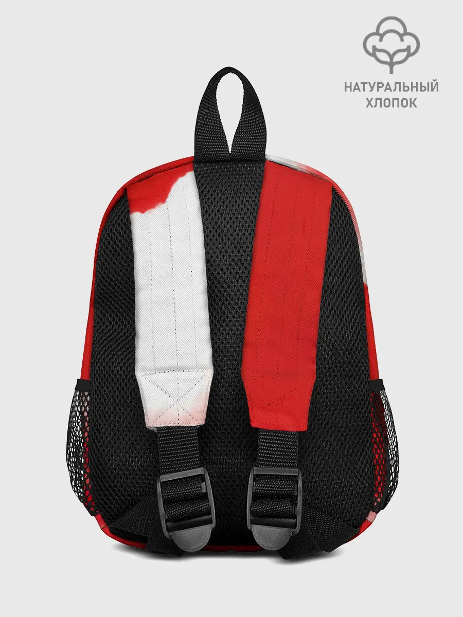 Рюкзак детский / 30 Seconds to Mars красное небо