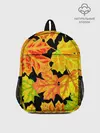 Рюкзак детский / LEAF FALL / AUTUMN