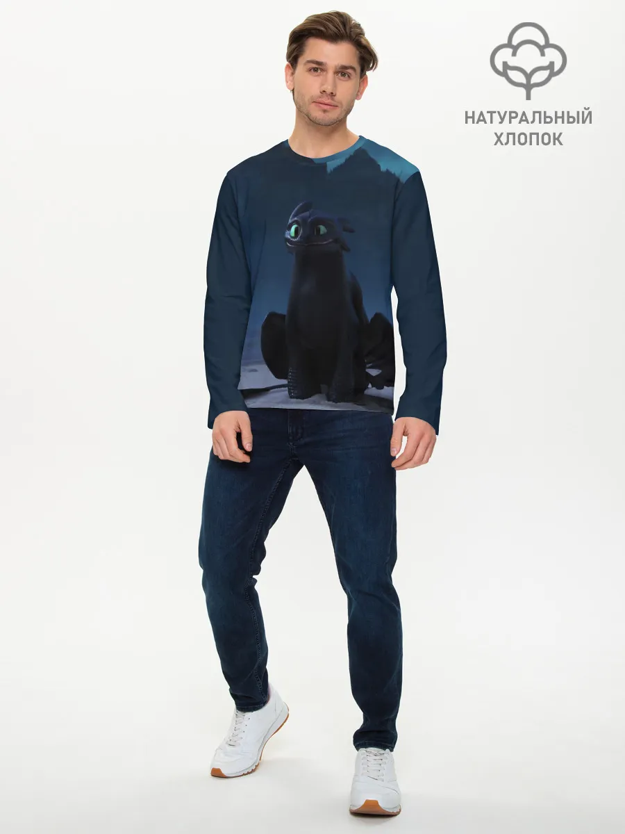 Мужской лонгслив базовый / Беззубик:Ночная Фурия