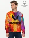 Мужской лонгслив базовый / Valorant