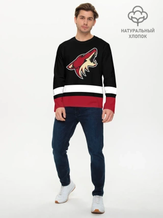 Мужской лонгслив базовый / Аризона Койотис