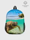 Рюкзак детский / Морская черепашка