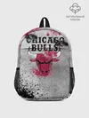 Рюкзак детский / CHICAGO BULLS [8]