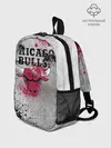 Рюкзак детский / CHICAGO BULLS [8]