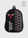 Рюкзак детский / CHICAGO BULLS [7]