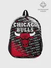 Рюкзак детский / CHICAGO BULLS [6]