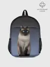 Рюкзак детский / сиамская милая кошечка